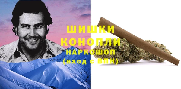 прущие грибы Армянск