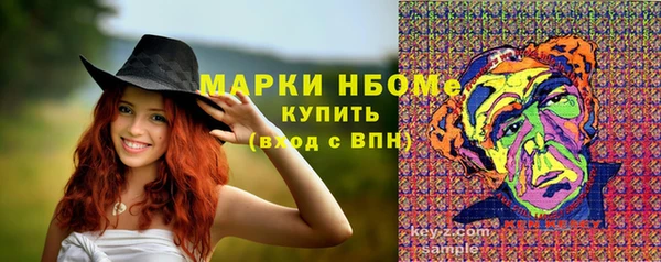 прущие грибы Аркадак