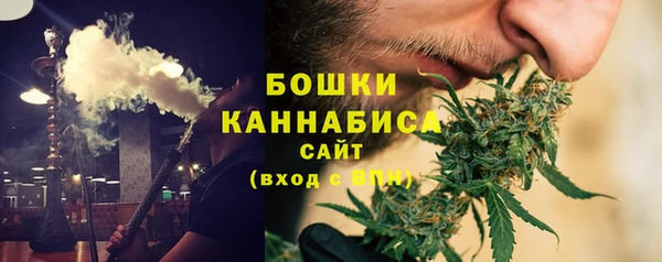 прущие грибы Аркадак
